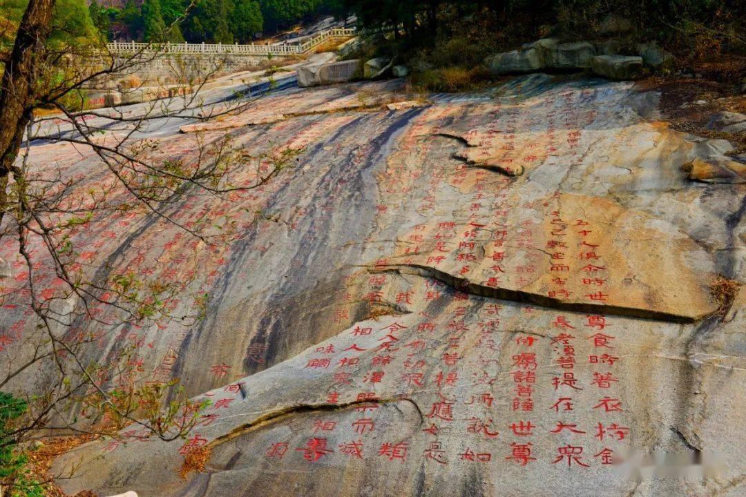 潍坊美加实验学校：家校同频的回响，是教育最美的声音
